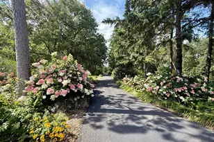 35423 Co Hwy 46, Savannah Twp, MN 56470 - Photo 10