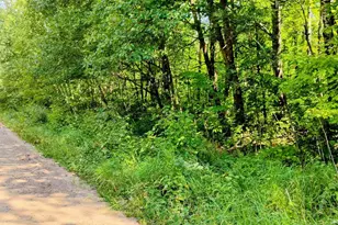 Tbd Olson Rd, Dell Grove Township, MN 55037 - Photo 1