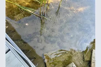 7064 Juneberry Trail NW, Walker, MN 56484 - Photo 82