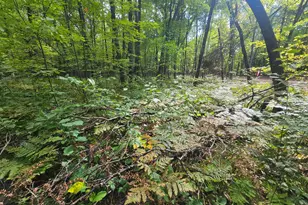 Lot 5 Ken Can Ln, Webster, WI 54893 - Photo 1