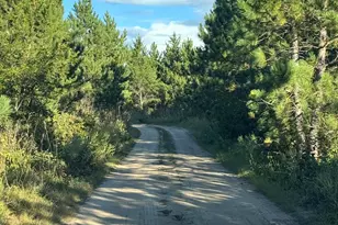 25333 196th St, Bullard Twp, MN 56479 - Photo 2