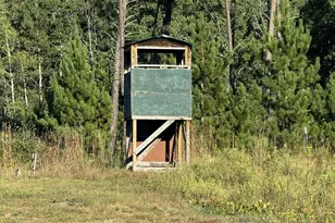 25333 196th St, Bullard Twp, MN 56479 - Photo 12