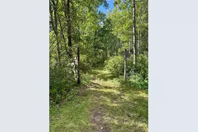 25333 196th Street, Bullard Twp, MN 56479 - Photo 14