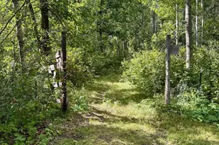 25333 196th St, Bullard Twp, MN 56479 - Photo 14