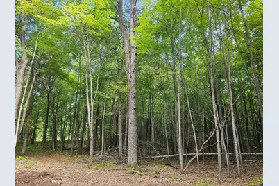 Lot 6 Ken Can Lane, Webster, WI 54893 - Photo 4