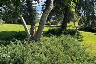 919 N Main St, Starbuck, MN 56381 - Photo 18