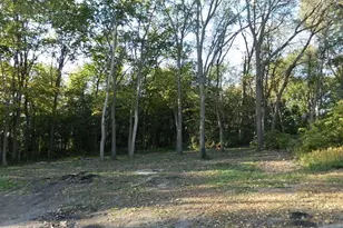 12624 US Hwy 212, Sacred Heart, MN 56285 - Photo 48