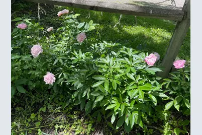 12624 US Highway 212, Sacred Heart, MN 56285 - Photo 32