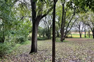 12624 US Hwy 212, Sacred Heart, MN 56285 - Photo 42