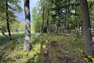 14701 Chokecherry Dr, Nevis, MN 56467 - Photo 34