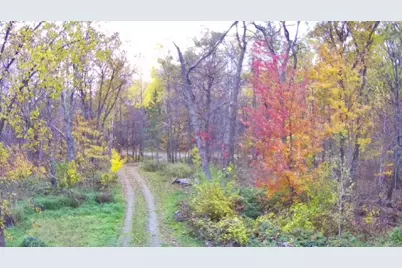 47802 Xylophone Road, Garrison, MN 56450 - Photo 8