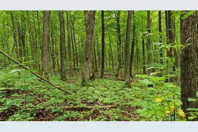 1963 Acres County Hwy C & Acres County, Exeland, WI 54835 - Photo 44