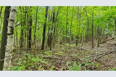 1963 Acres County Hwy C & Acres County, Exeland, WI 54835 - Photo 42