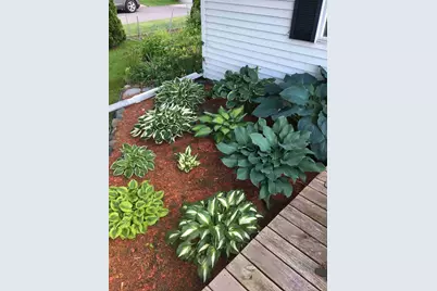 201 Norman Avenue S, Foley, MN 56329 - Photo 30