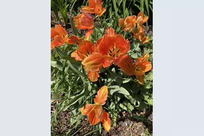 201 Norman Avenue S, Foley, MN 56329 - Photo 34