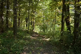 17963 27th Ave, Clearwater, MN 55320 - Photo 62