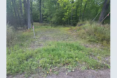 Tbd 484th Street, Shamrock Township, MN 55760 - Photo 2