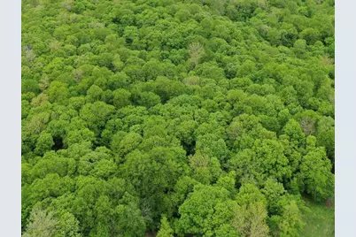 (Lot 10) Tbd NE Rock Lake Road, Rochert, MN 56578 - Photo 1