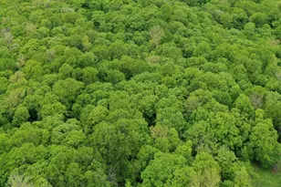 (Lot 10) Tbd NE Rock Lake Rd, Rochert, MN 56578 - Photo 1