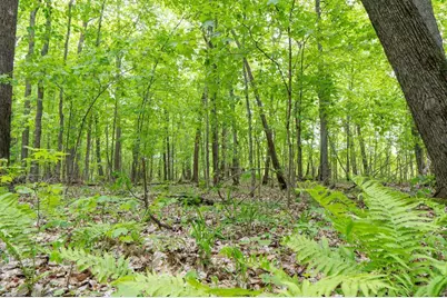 (Lot 10) Tbd NE Rock Lake Road, Rochert, MN 56578 - Photo 2