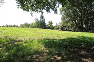 5990 Painter Rd, Minnetrista, MN 55364 - Photo 2