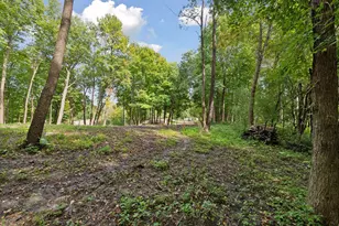 305 North Shore Dr, Minnetrista, MN 55364 - Photo 22