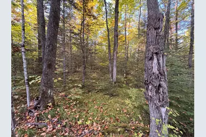 445Xx Club Lake Road, Grand View, WI 54821 - Photo 1