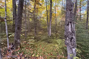 445Xx Club Lake Rd, Grand View, WI 54821 - Photo 1