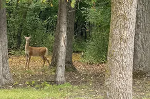 15636 US Hwy 59 NE, Thief River Falls, MN 56701 - Photo 72
