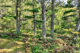 9491 Totogatic Rd, Cable, WI 54821 - Photo 20