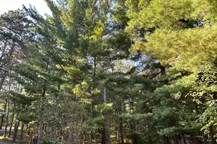 23650 Glory Trail, Park Rapids, MN 56470 - Photo 48