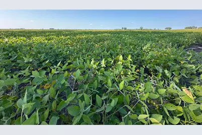 Tbd County 8, Campbell, MN 56522 - Photo 4