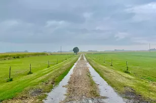 20157 540th Ave, Minnesota Lake Twp, MN 56097 - Photo 2