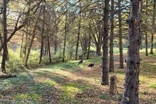 935 Lakewood Hills Rd, Eagan, MN 55123 - Photo 108