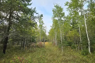 3696 Co Rd 142, International Falls, MN 56649 - Photo 18