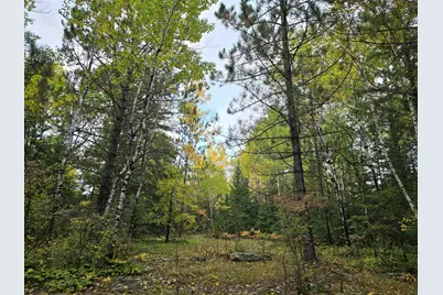 3696 County Road 142, International Falls, MN 56649 - Photo 14