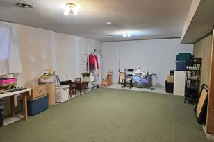 3696 Co Rd 142, International Falls, MN 56649 - Photo 44