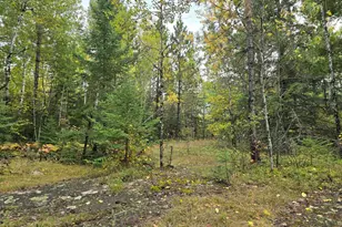 3696 Co Rd 142, International Falls, MN 56649 - Photo 16