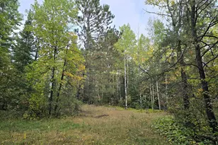 3696 Co Rd 142, International Falls, MN 56649 - Photo 12