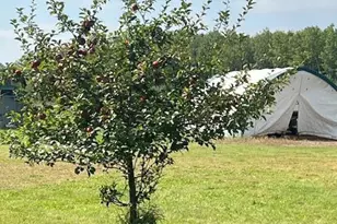 8379 Deer Valley Rd, Pine City, MN 55063 - Photo 8