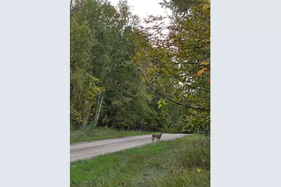 19198 Farington Lane NE, Hines, MN 56647 - Photo 58