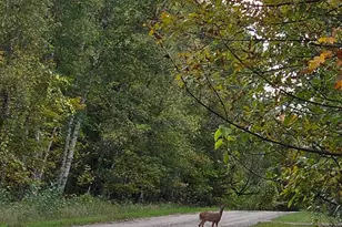 19198 Farington Ln NE, Hines, MN 56647 - Photo 58