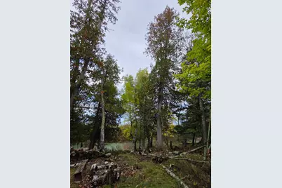 19198 Farington Lane NE, Hines, MN 56647 - Photo 52