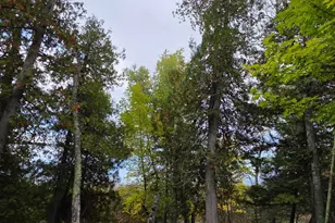 19198 Farington Ln NE, Hines, MN 56647 - Photo 52