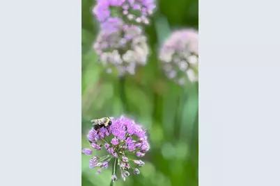 328 13th Avenue NE, Minneapolis, MN 55413 - Photo 14