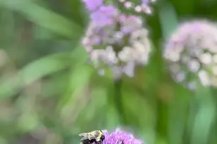 328 13th Ave NE, Minneapolis, MN 55413 - Photo 14