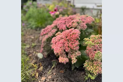 328 13th Avenue NE, Minneapolis, MN 55413 - Photo 32