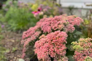 328 13th Ave NE, Minneapolis, MN 55413 - Photo 32