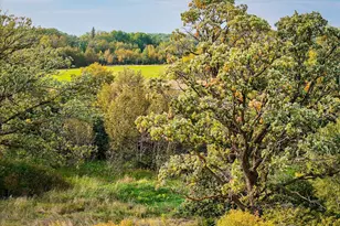 34774 400th St SE, Fosston, MN 56542 - Photo 36