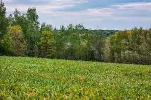 34774 400th St SE, Fosston, MN 56542 - Photo 24